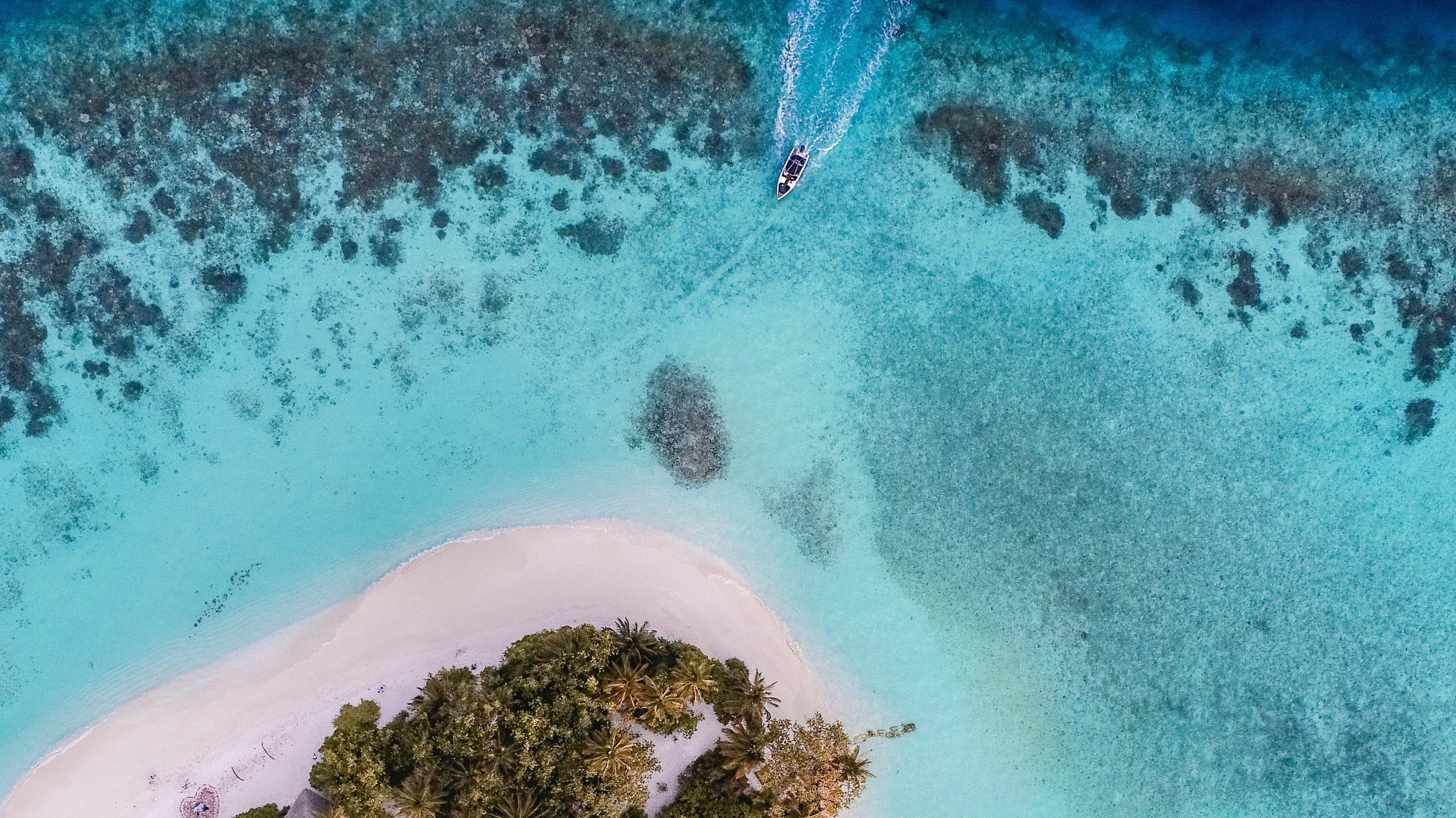 CASA VACANSA( B & B )